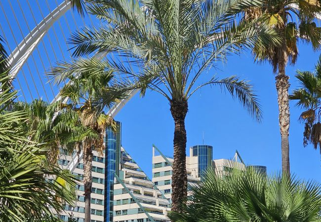 Apartamento en Valencia - Apartamentos Las Ciencias O Apartamento en Valencia - Apartamentos Las Ciencias O