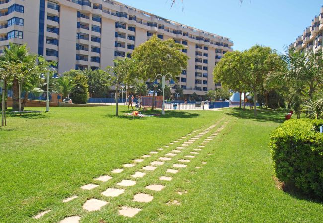 Apartamento en Alboraya - Patacona Essence Apartamento en Alboraya - Patacona Essence