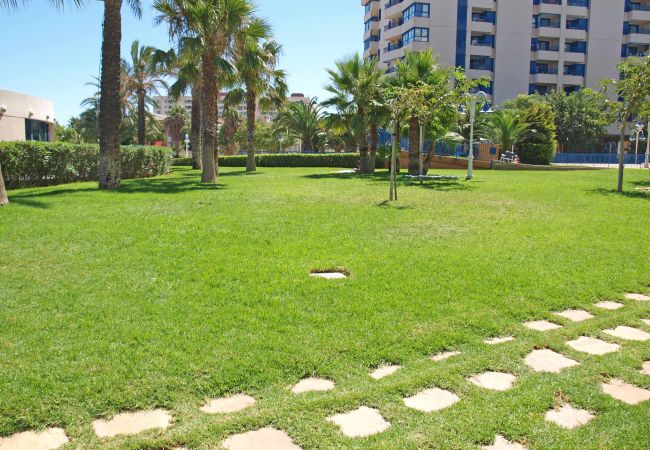 Apartamento en Alboraya - Patacona Essence Apartamento en Alboraya - Patacona Essence