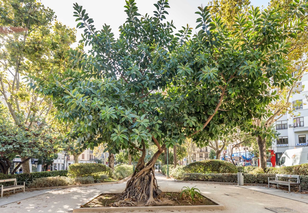 Apartamento en Valencia - Belmar Apartments 5 Apartamento en Valencia - Belmar Apartments 5