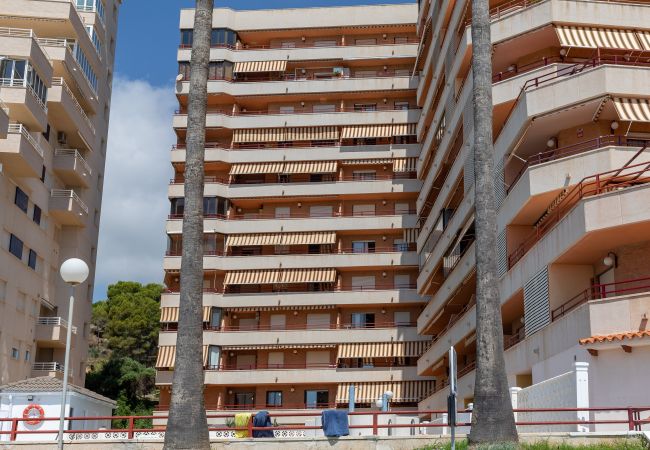 Apartment in Oropesa del Mar - La Concha Beachfront II Apartment in Oropesa del Mar - La Concha Beachfront II