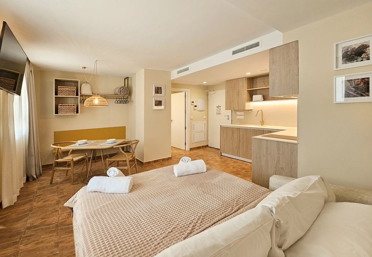 Studio in Valencia / València - Apartamentos Las Ciencias Studio T