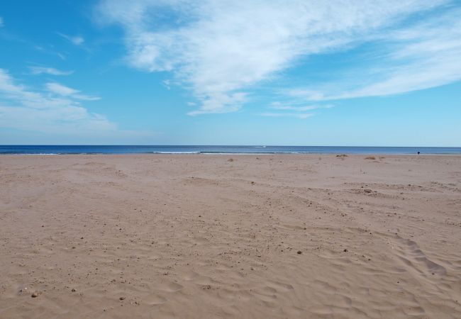 Appartement à Alboraya / Alboraia - Patacona Terrace Duplex I Appartement à Alboraya / Alboraia - Patacona Terrace Duplex I