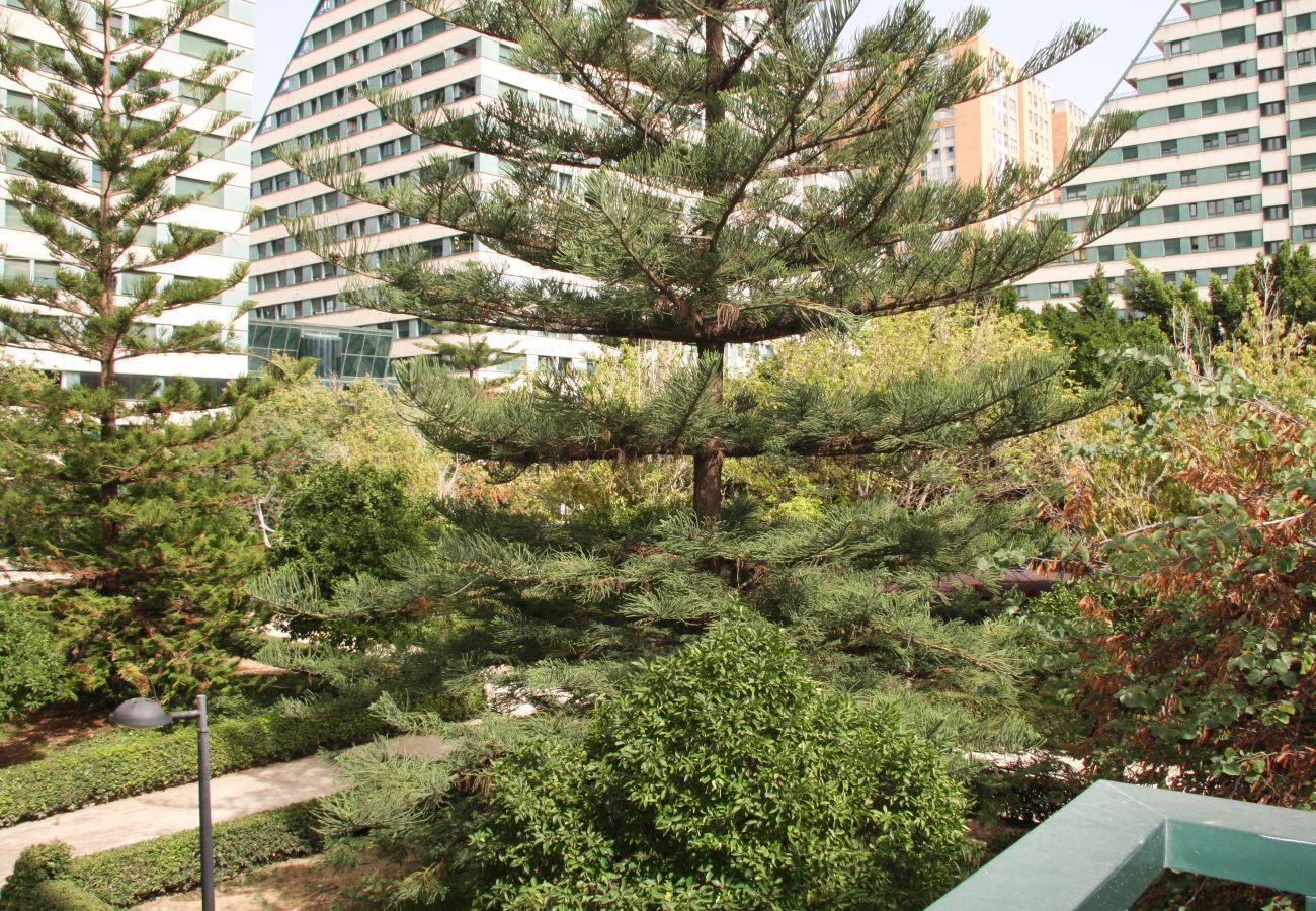 Appartement à Valence / Valencia - Apartamentos Las Ciencias D Appartement à Valence / Valencia - Apartamentos Las Ciencias D